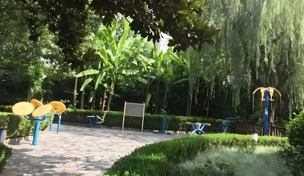 深户办理中介_比不过刘亦菲杨幂，赵丽颖在电影圈处处尴尬 比不过刘亦、智电脑机能手